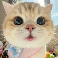 Văn Hoàng's avatar